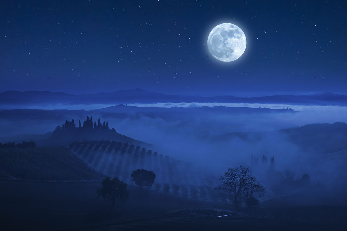 Moonlit vineyards