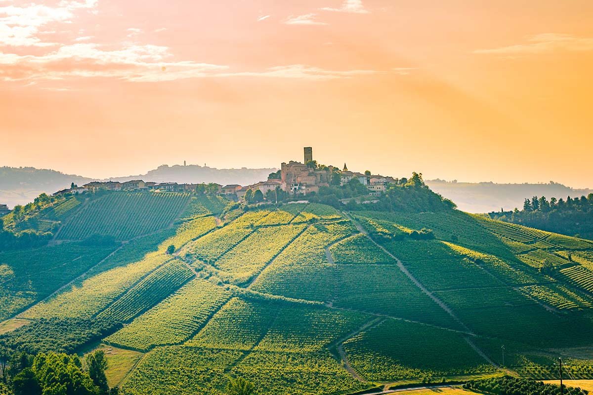 The image shows a large field in piedmont during autumn.