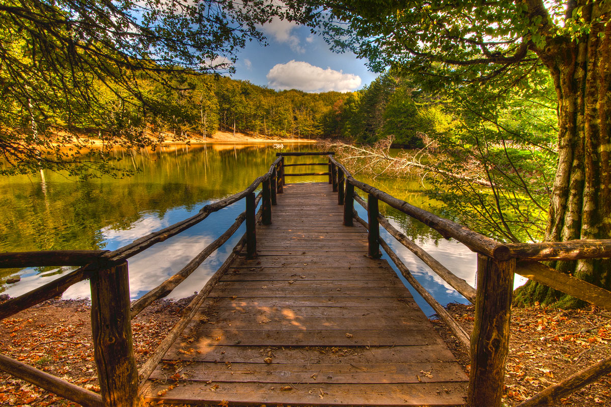 A wooden pier over the beautiful lake in Foresta Umbra in Gargano National Park, Puglia, Italy