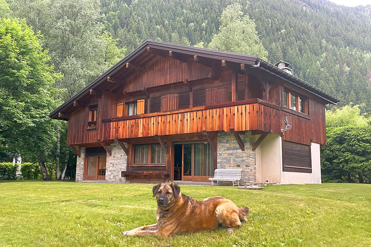 Un cane steso comodamente nel giardino dello Chalet du Golf, la casa vacanza pet-friendly di Happy.Rentals, vicino all'impianto di risalita di La Flégère.