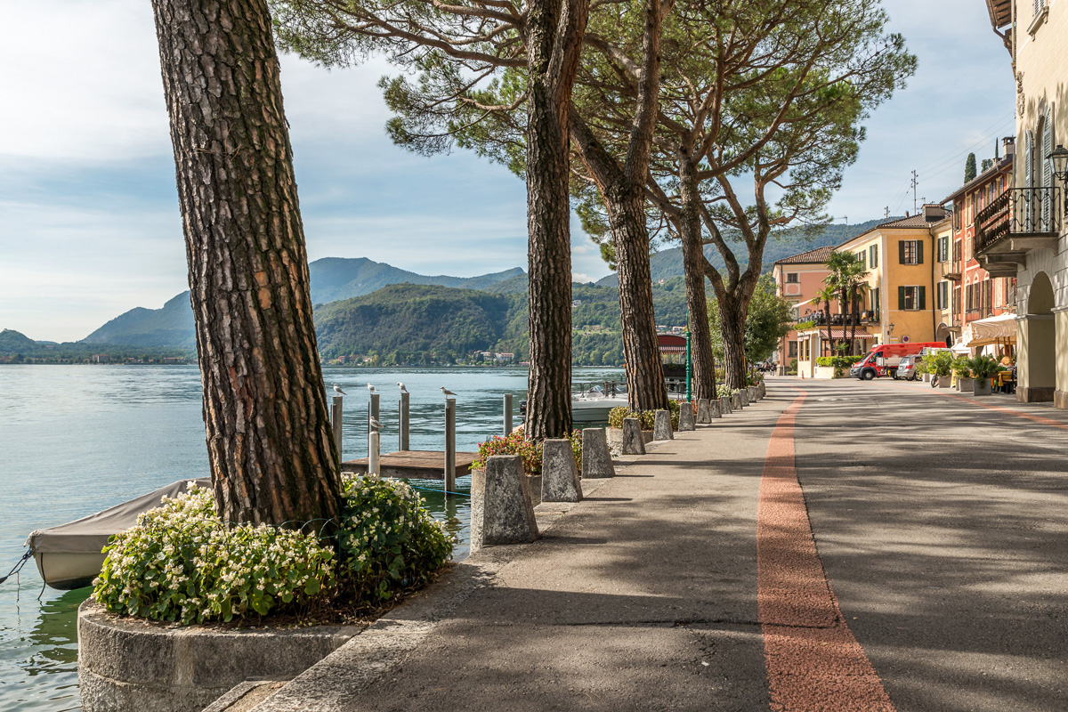 Il lungolago alberato di Morcote, con il lago di Lugano da un lato e una strada piena di edifici dall'altro.