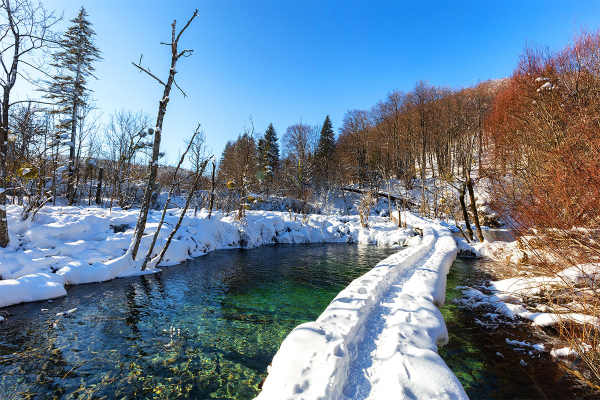 A snowy path inside Croatia's Plitvice Lakes park on a sunny day
