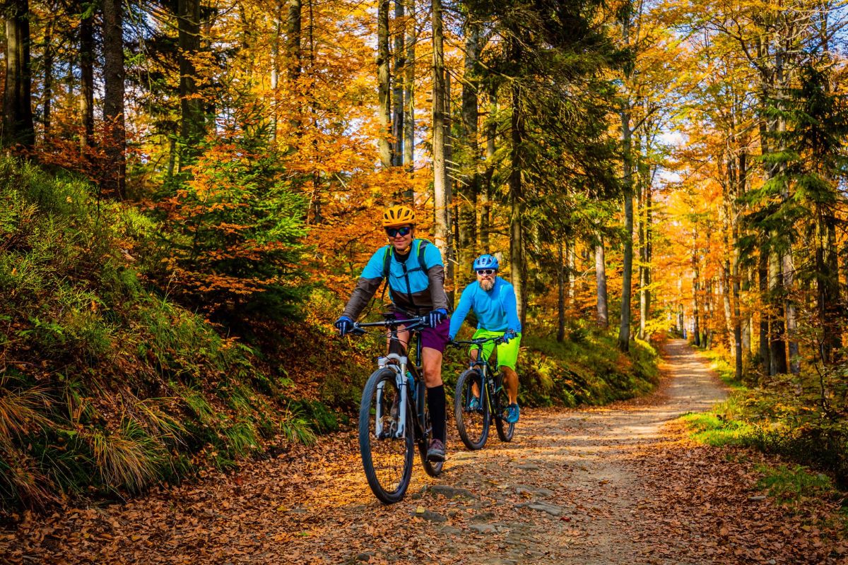 A couple cycling through a forest in the season of autumn, with beautiful leaf-laden paths and trees displaying multiple shades of orange