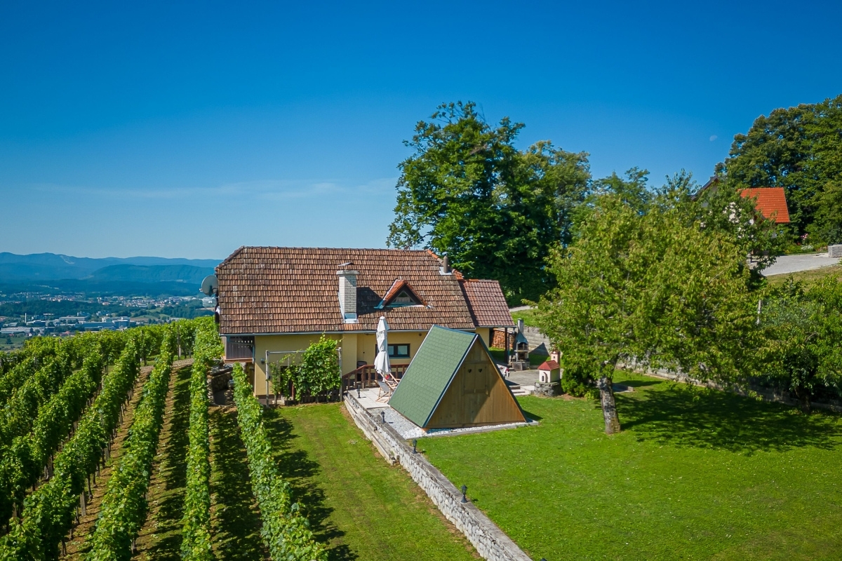 Casa del vino con infrasauna e vista sulle colline della Dolenjska, Novo mesto e il fiume Krka, Slovenia