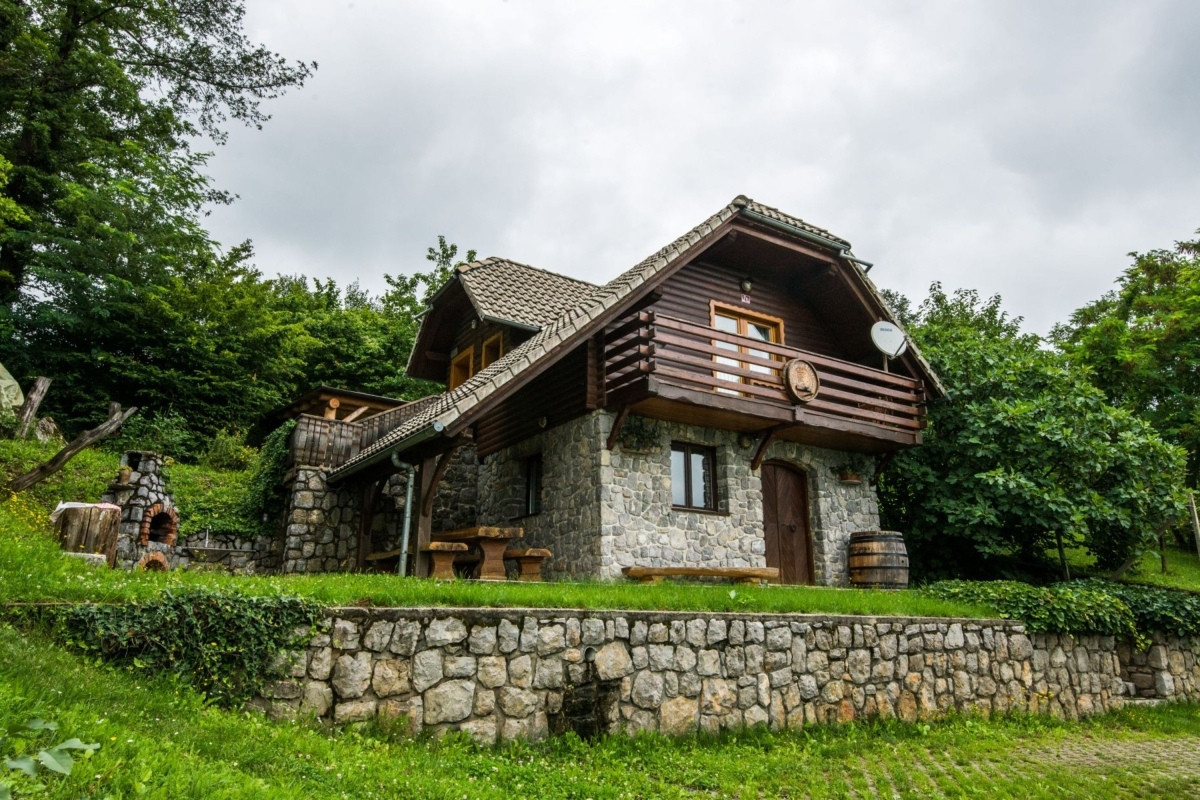 Ex enoteca su una collina che domina Novo Mesto nell'idilliaca regione della Dolenjska