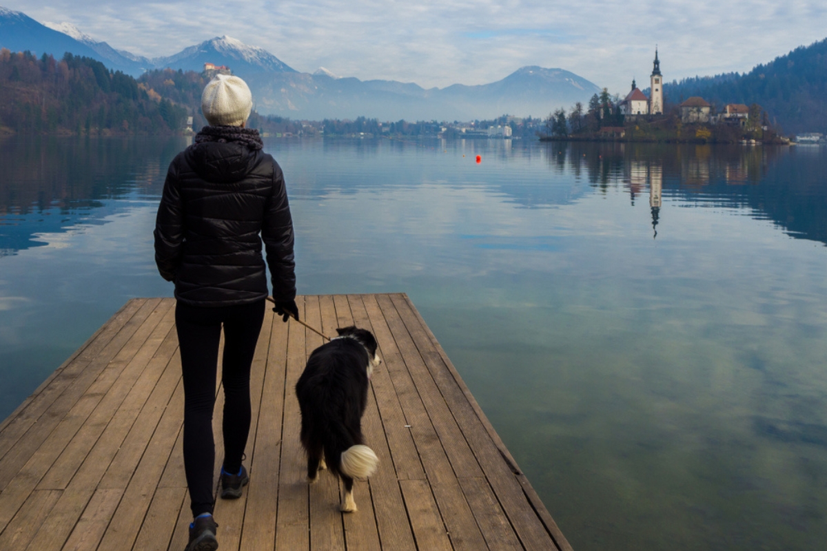 Girl with a border collie dog on a pier in Bled lake Slovenia. Bled Island and Bled castle with Alps mountains in the background