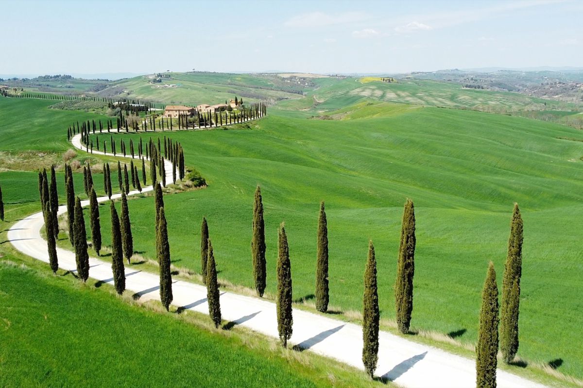 The idyllic landscape of the road of cypress trees in the Crete Senesi