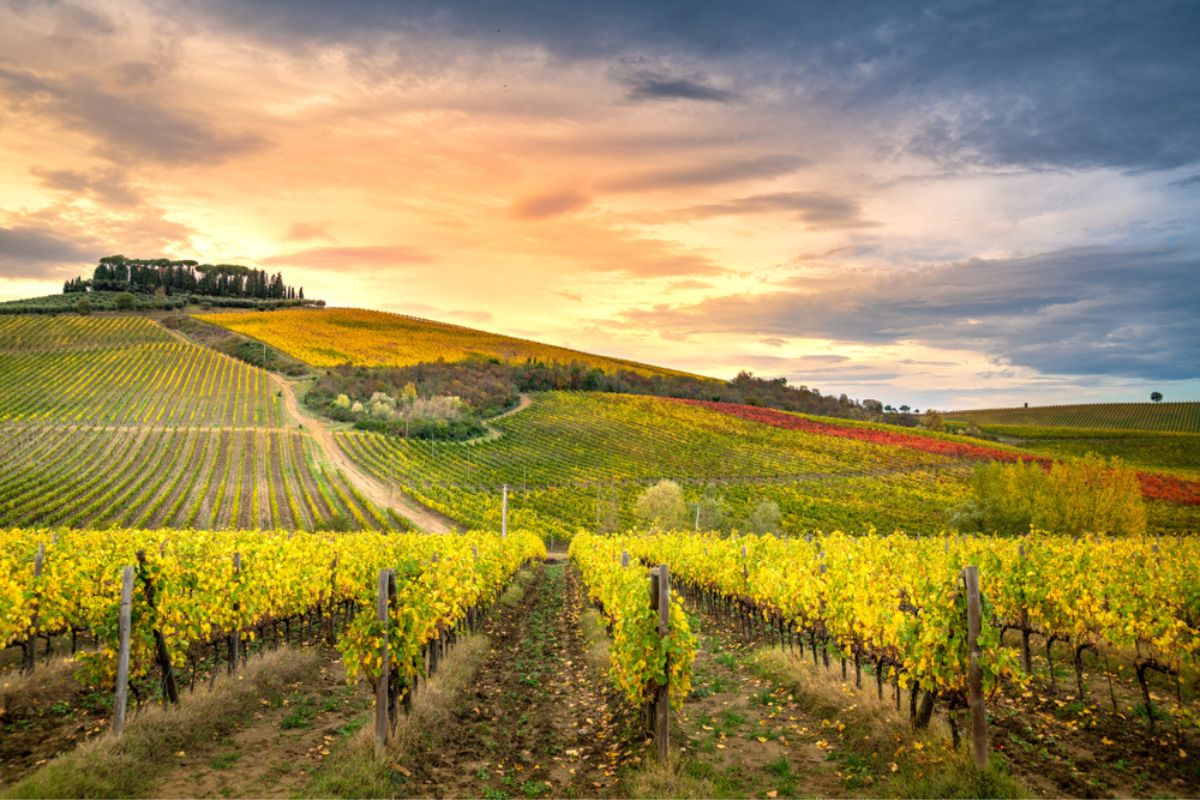 Le dolci colline e i vigneti del Chianti, nella campagna toscana