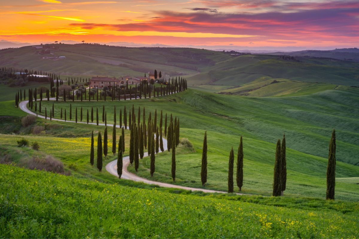 L'iconica strada dei cipressi durante il tramonto ad Asciano, provincia di Siena, Crete Senesi