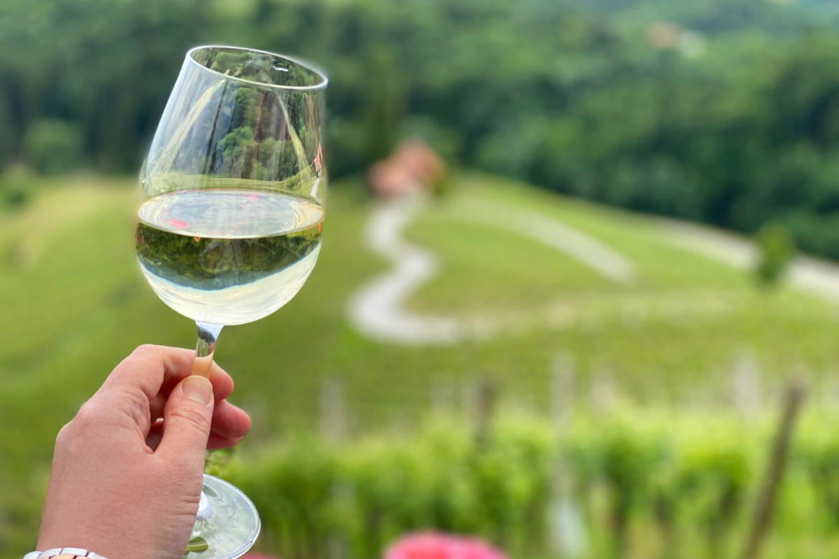 Mano che tiene un bicchiere di vino bianco, con lo sfondo del bellissimo vigneto a forma di cuore in Slovenia
