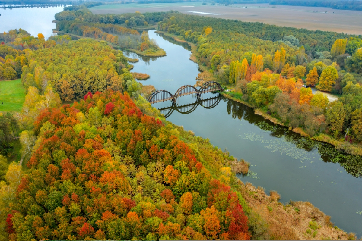 Un bellissimo ponte di legno a doppia arcata su un lago al tramonto, con salici piangenti in primo piano, Kis Balaton, Ungheria