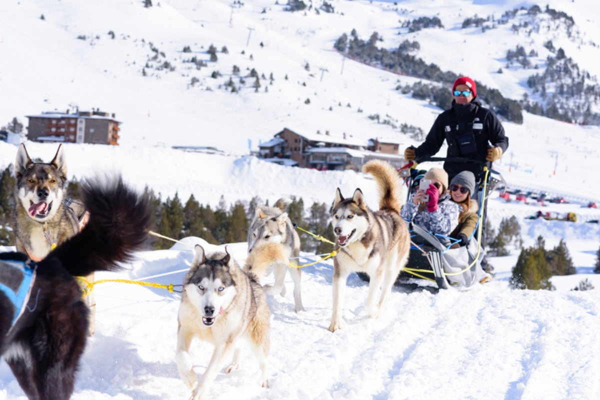 Slitta trainata da cani nella stazione sciistica di Grandvalira, Grau Roig Andorra 