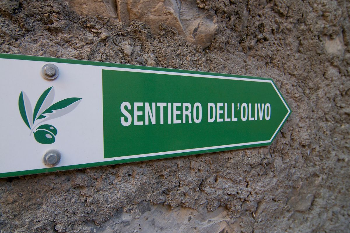 Un sentiero che indica il percorso dell'olivo tra Castagnola e Gandria, Ticino, Svizzera