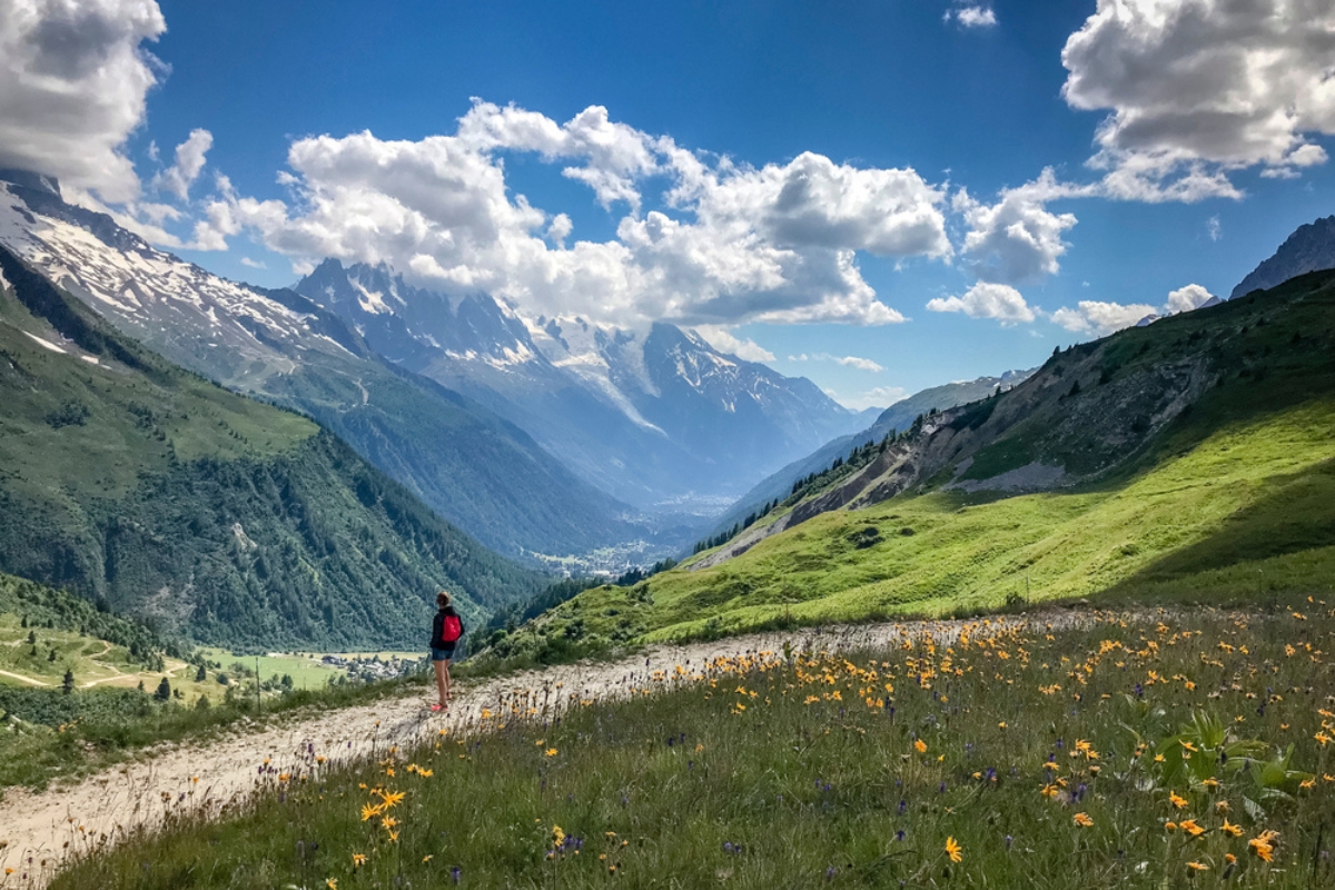 Vallorcine e Chamonix delle alpi francesi in una limpida giornata estiva, con cielo azzurro, nuvole luminose e verdi prati alpini con fiori