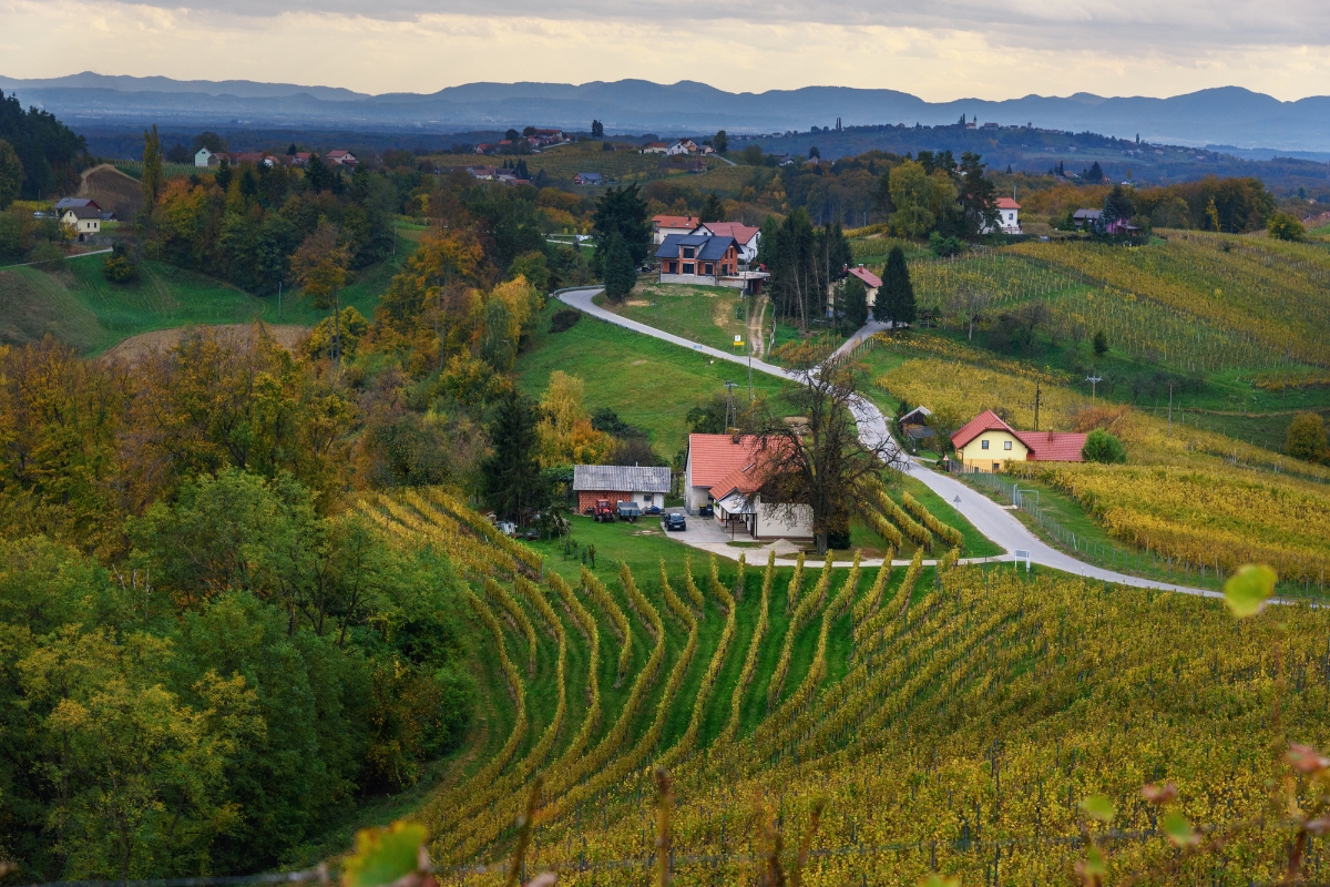 Beautiful vineyards landscape of Jeruzalem on Slovene Hills in Ljutomer. Northeastern Slovenia