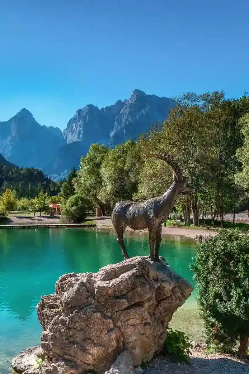 Alpine image