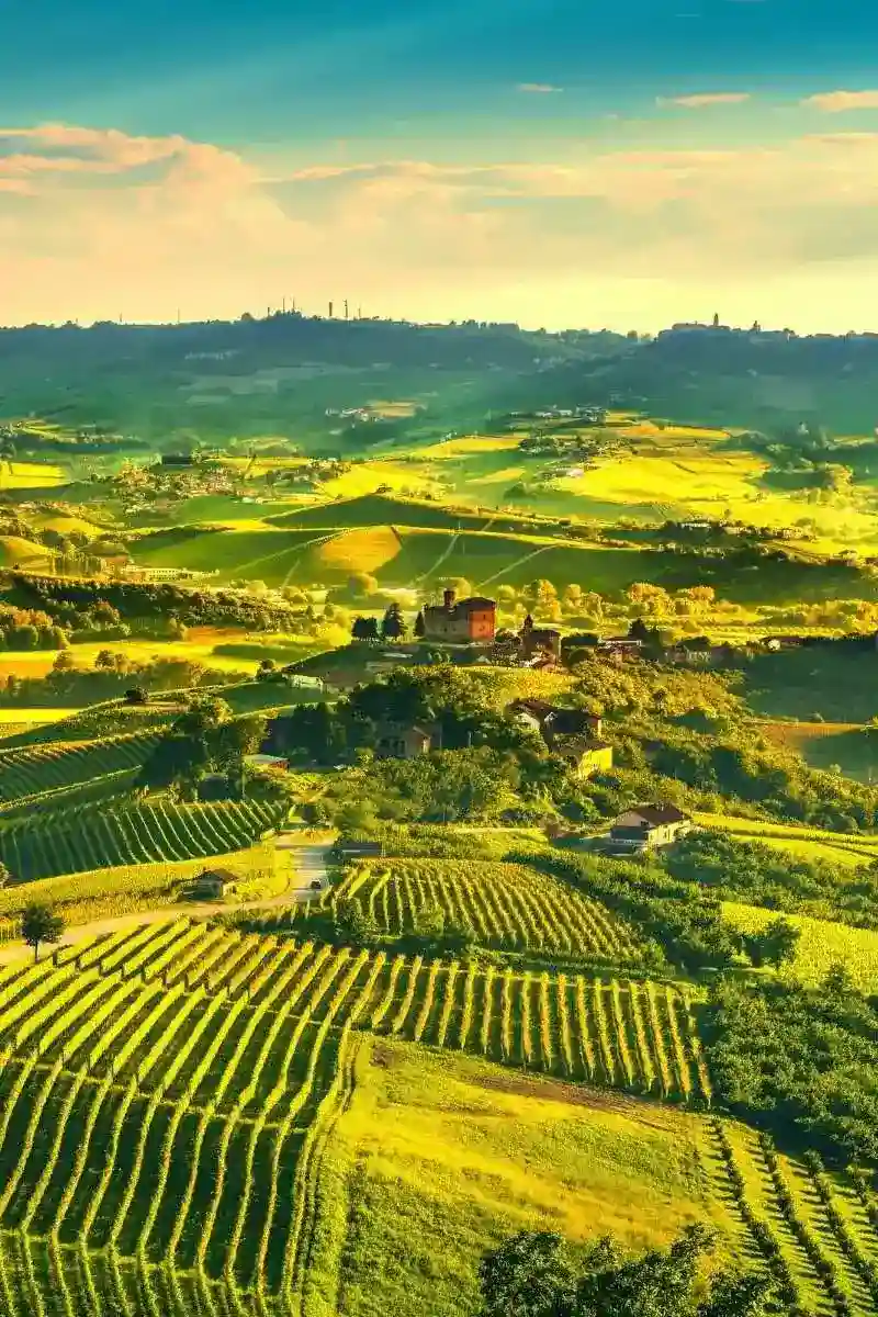 Piedmont image