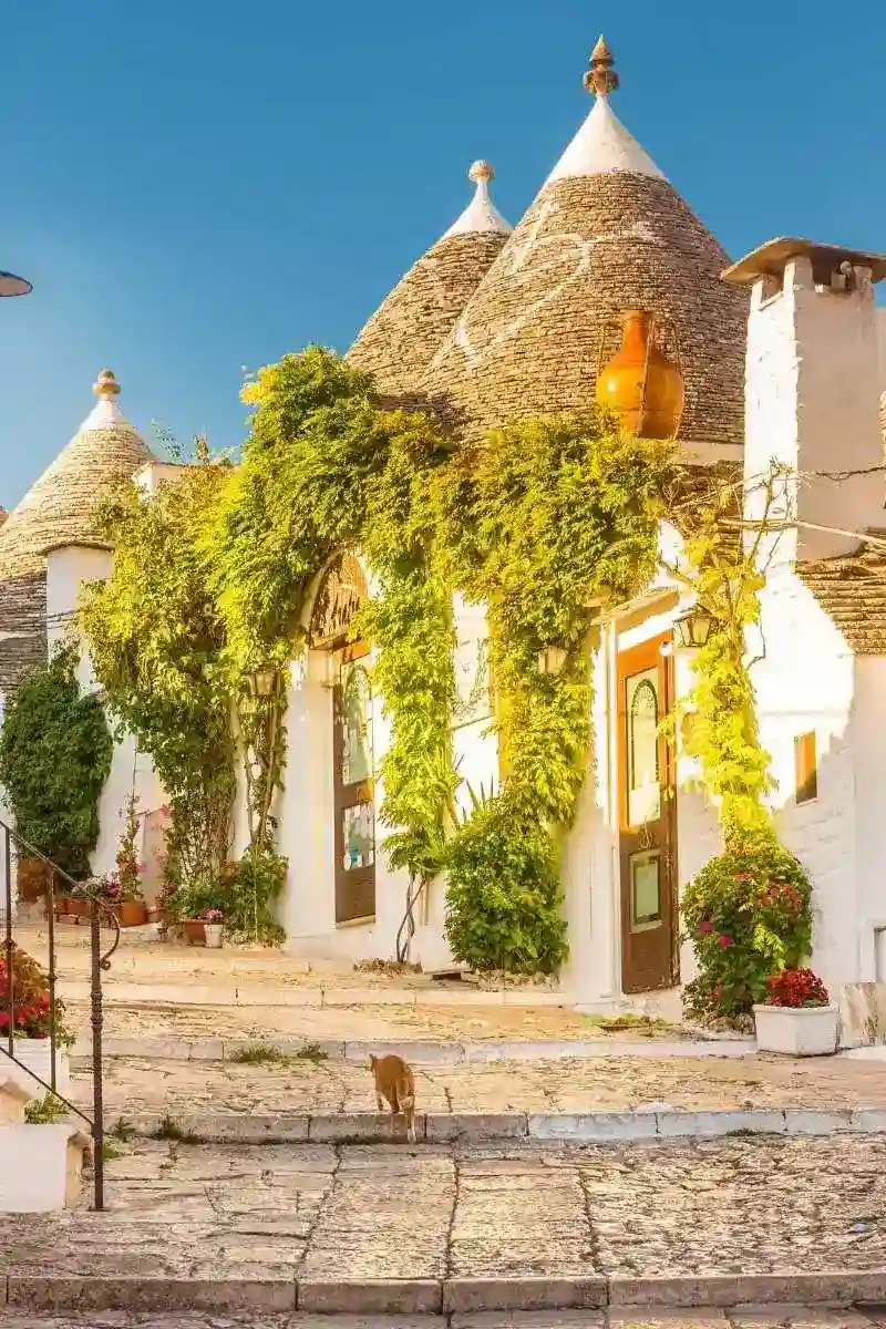 Puglia image