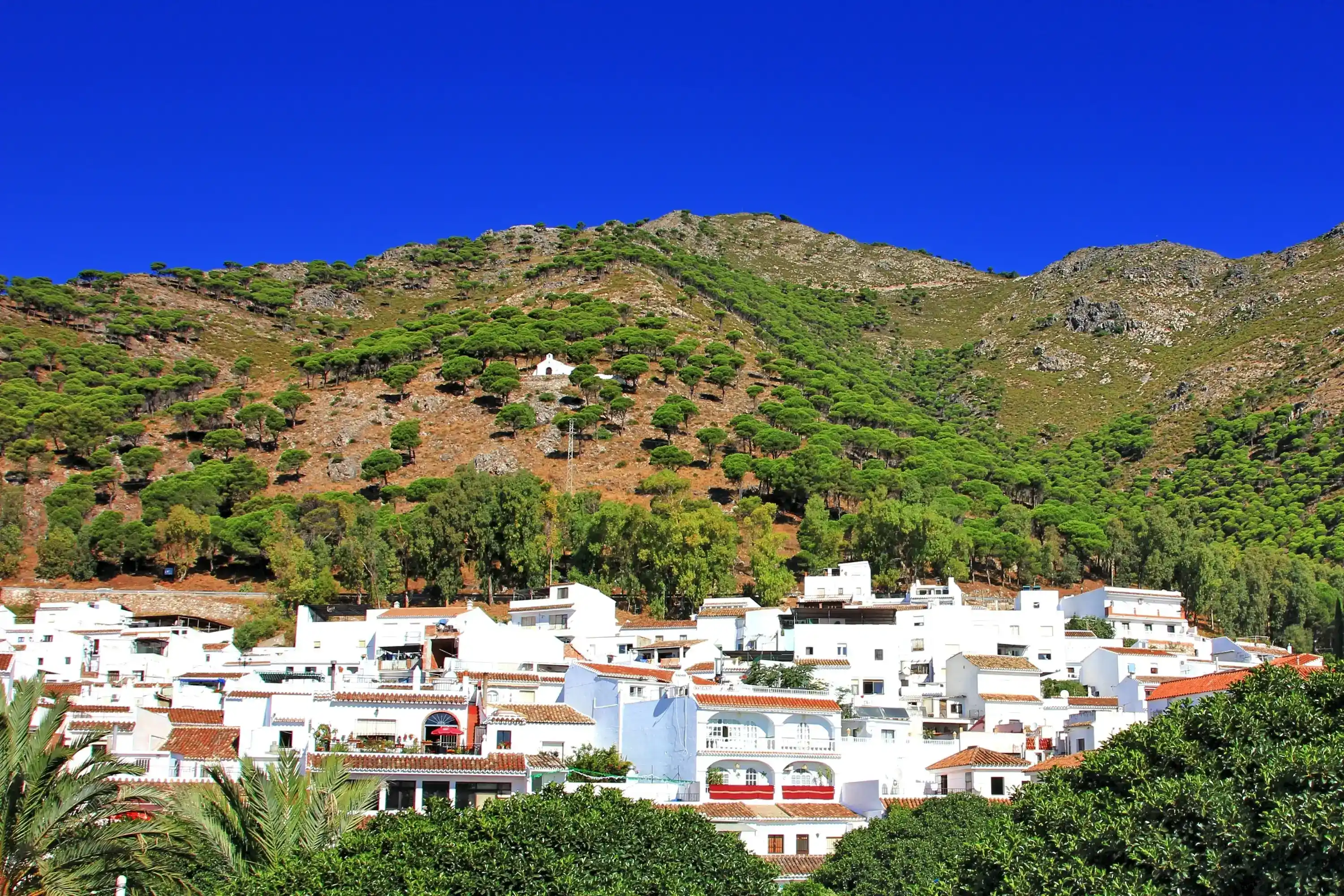 Mijas Costa image